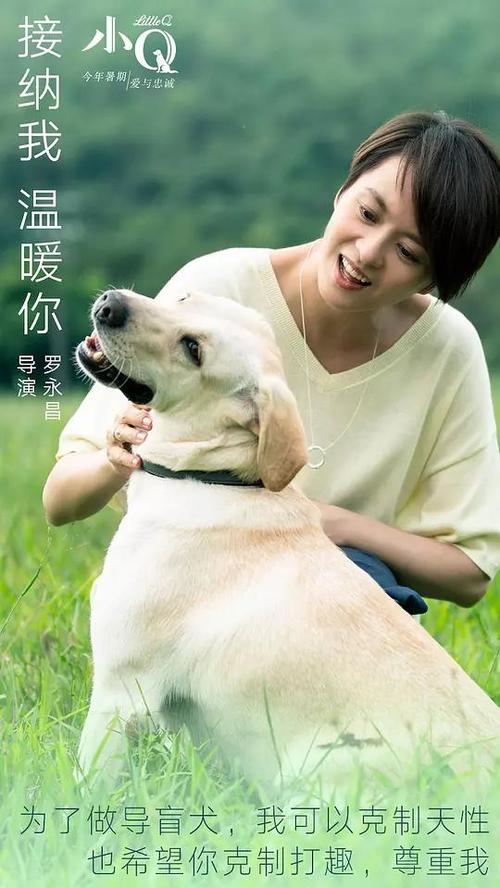 大学报名要高中毕业证